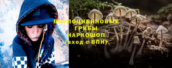 Альфа ПВП Гусиноозёрск