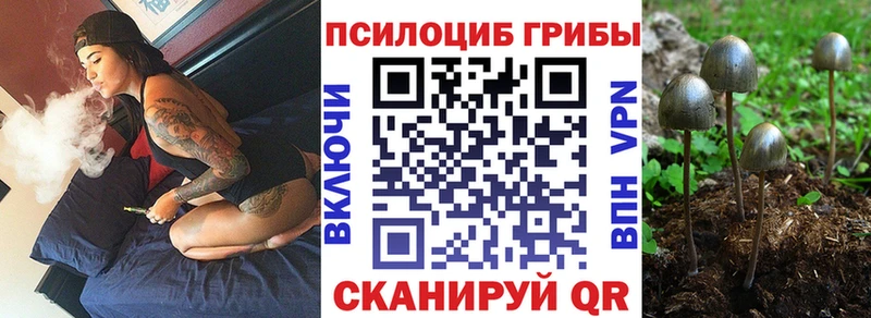 Галлюциногенные грибы GOLDEN TEACHER  Дегтярск 